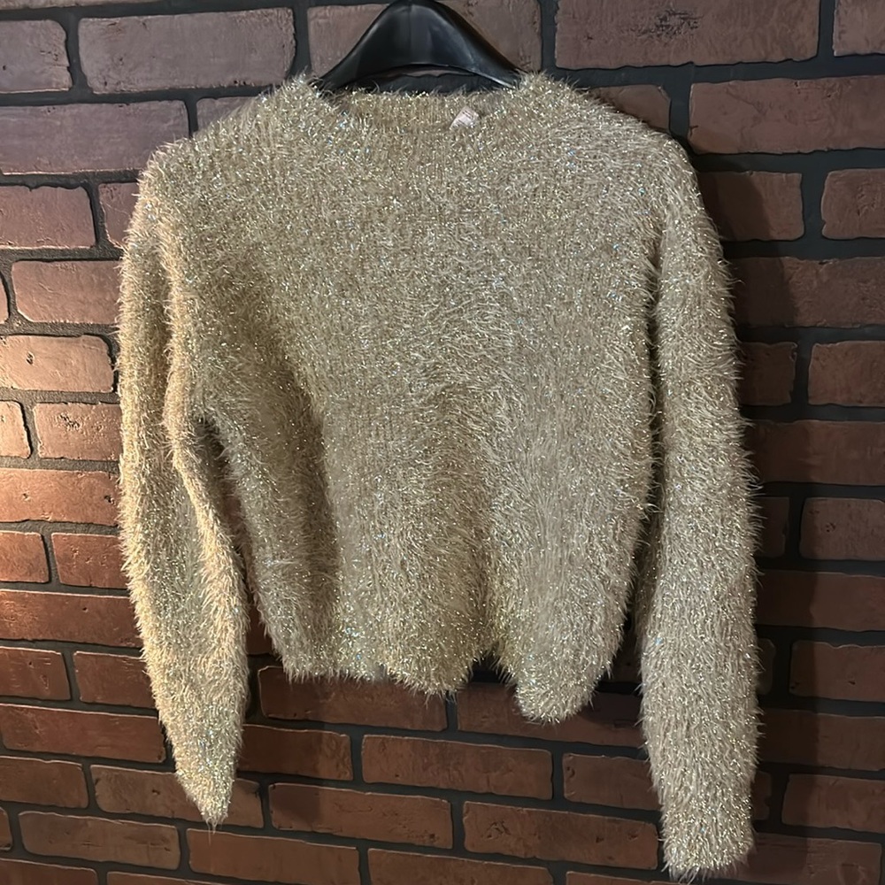 NWT shimmery sweater